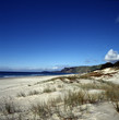 New Zealand beach New Zealand beach