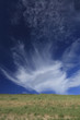 bizarre wolke