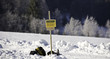 Photo: Winterlandschaft Winterlandschaft