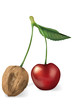 Cherry and nut