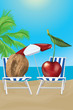 Cherry and walnut get a tan on the beach