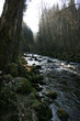 Flußlandschaft