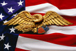 Eagle and Flag