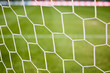 Goal Net