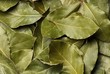 Herbs background