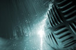 Fibre Optical