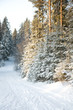 winter road
