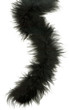 feather boa
