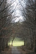 Waldlichtung