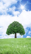 arbre