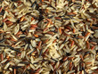 grains de riz