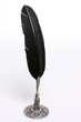 Photo: old fashioned quill old fashioned quill