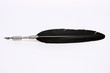 Photo: venetian quill venetian quill