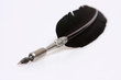 Photo: venetian quill pen venetian quill pen