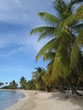PLAGE GRENADINES