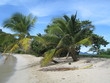 PLAGE GRENADINES
