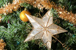 Star Ornament