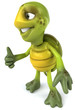 Tortue