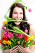 Biss in die Tulpen