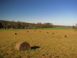 Haute-Vienne, Limousin, Périgord