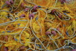 Fishing net