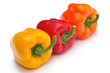 Photo: PEPPER PEPPER