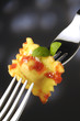 Ravioli al sugo di pomodoro - Primi piatti - Cucina italiana