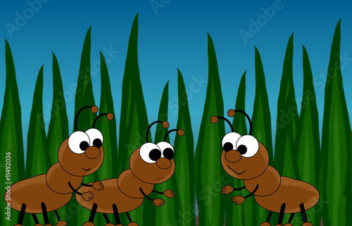 Ants In Grass