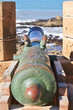 Old cannon