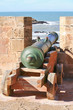 Cannon