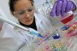 scientist - laboratory of biology scientist - laboratory of biology