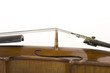 violon13