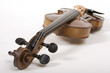 violon04