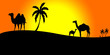 atardecer en el desierto