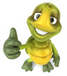 Tortue Tortue