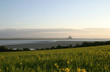 Baie du Mont-Saint-Michel