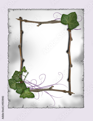 ivy and branch frame
