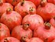 Pomegranate 1