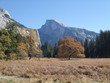 Yosemite Park