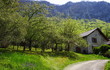 maison et verdure