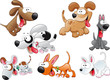 Family of dogs