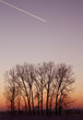 Winterlicher Sonnenuntergang mit Flugzeug