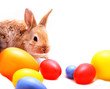 Happy Easter #2