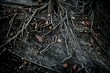 Dark black tree roots over surface, terror Dark black tree roots over surface, terror