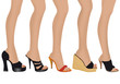 scarpe