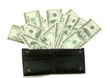 Detaily fotografie money