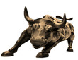 bull market on white