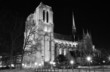 notre dame