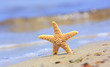 Starfish and ocean wave on sandy tropical beach