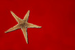 Red Star